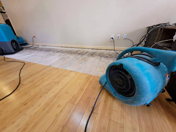 Professional Water Removal technician working in Charleston, MO